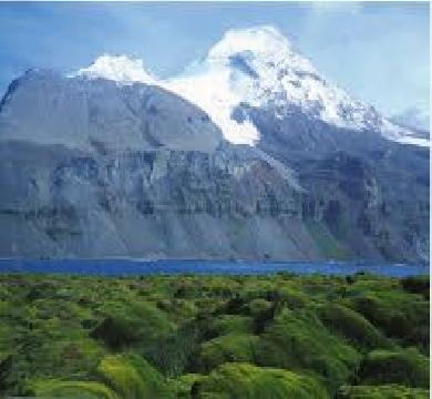 ترامب يفرض رسوم جمركية علي جزر نائية ومجهورة بنسبه 10 %